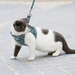 Breathable Cat Harness Set