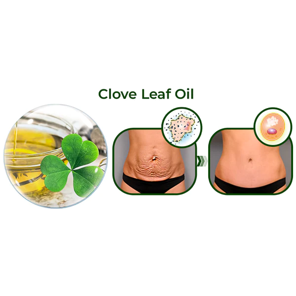 ️ Avocado Ageless Body Cream Scrub - Image 3