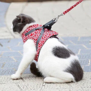 Breathable Cat Harness Set
