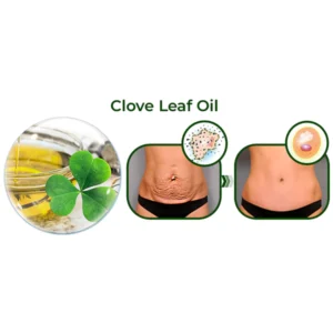 ️ Avocado Ageless Body Cream Scrub - Image 6