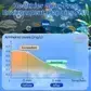 Aquariums Aqua-Guardian Blend - Image 12