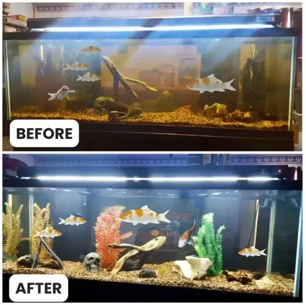 Aquariums Aqua-Guardian Blend - Image 22