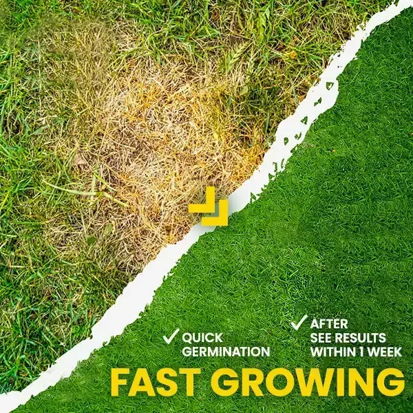 Green Lawn Grass Sunny Spray - Image 7