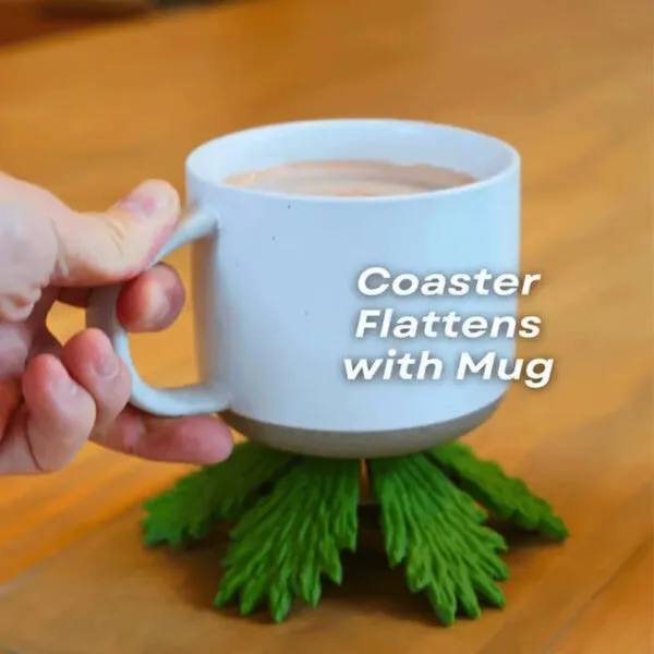 Funny 3D Printed Cactus Holder