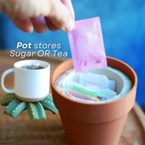 Funny 3D Printed Cactus Holder