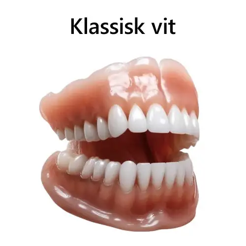 🧡Premium Avancerat Anpassat Helprotes-set 🧡 (⏰Tidsbegränsad rabatt i 30 minuter) - Image 4
