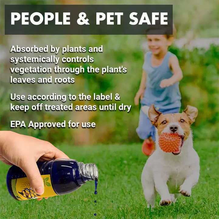 Salt Herbicide Agent - Image 8