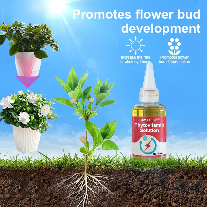 Plant Vitality Elixir - Image 6