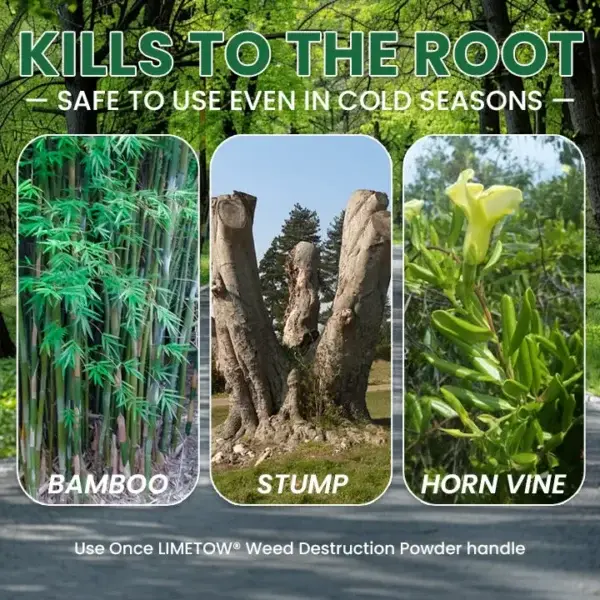 Weed Destruction Powder - Image 13