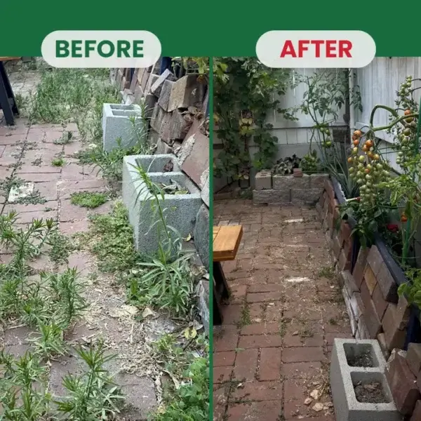 Weed Destruction Powder - Image 18