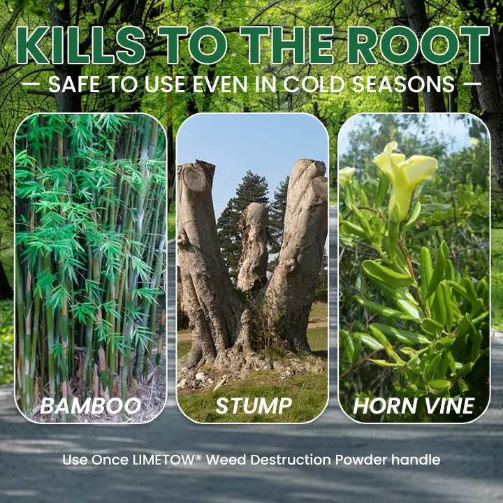 Weed Destruction Powder - Image 13