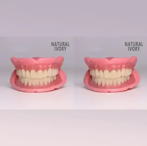 𝗙𝘂𝗻𝗰𝘁𝗶𝗼𝗻𝗮𝗹 𝗧𝗵𝗶𝗰𝗸𝗲𝗻𝗲𝗱 𝗗𝗲𝗻𝘁𝘂𝗿𝗲𝘀 - Image 25