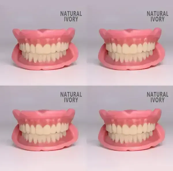 𝗙𝘂𝗻𝗰𝘁𝗶𝗼𝗻𝗮𝗹 𝗧𝗵𝗶𝗰𝗸𝗲𝗻𝗲𝗱 𝗗𝗲𝗻𝘁𝘂𝗿𝗲𝘀 - Image 37