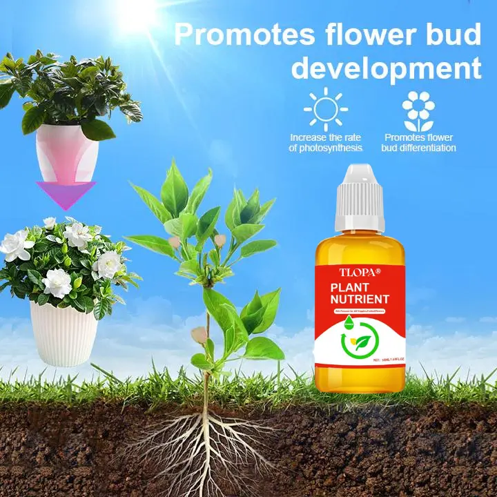 Plant Nutrient Solution - Image 7