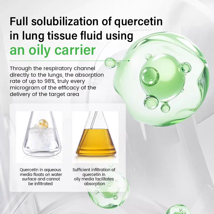 Pulmovia Quercetin Lung Detox Inhaler - Image 8
