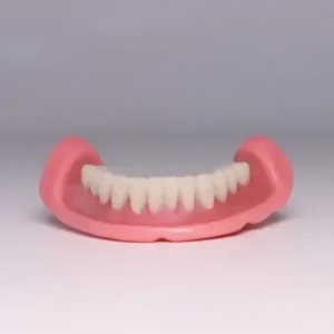 Dentures Set - Image 17