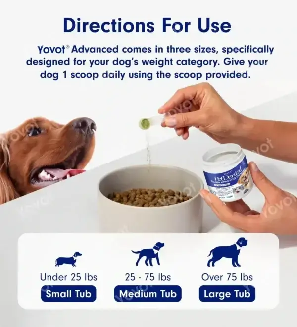 Pet Dental Powder - Image 5