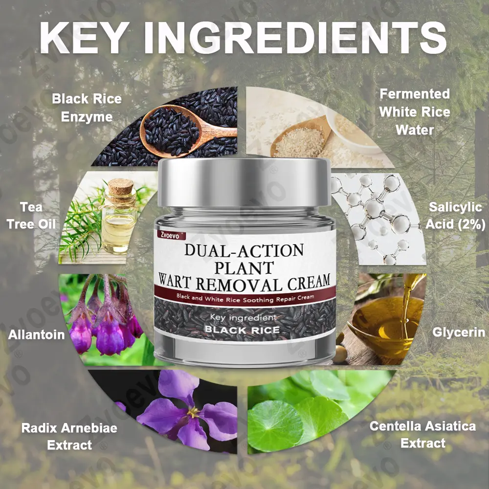 Rice Bran Essence Cream - Image 17