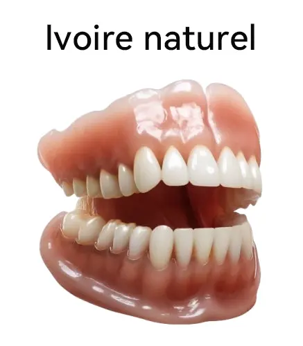 🚀𝐏𝐫𝐨𝐭𝐡è𝐬𝐞 𝐃𝐞𝐧𝐭𝐚𝐢𝐫𝐞 𝐏𝐫𝐞𝐦𝐢𝐮𝐦 (⏰Remise à durée limitée : 30 dernières minutes⏰) - Image 5