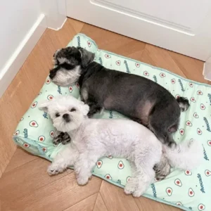 Alternative view of 🔥The Hot Summer Is Coming Soon,49% Off🔥Cats/Dogs Cooling Bed