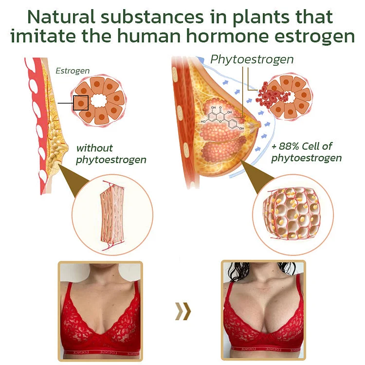Pueraria Mirifica Papaya Breast Enhancement Capsules - Image 6