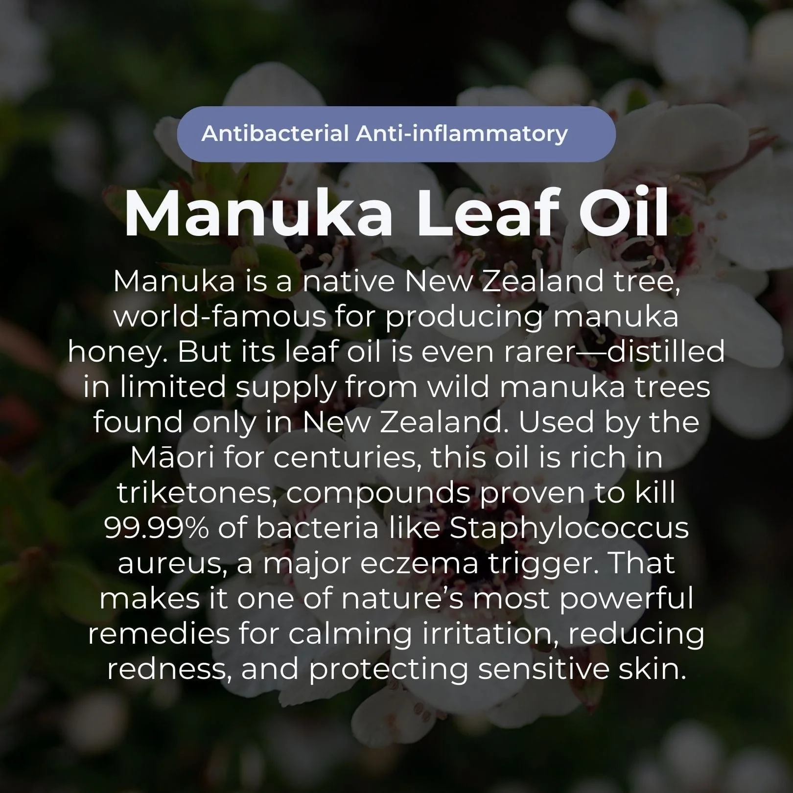 Miracle Manuka Skin Repair Balm - 100g - Image 5