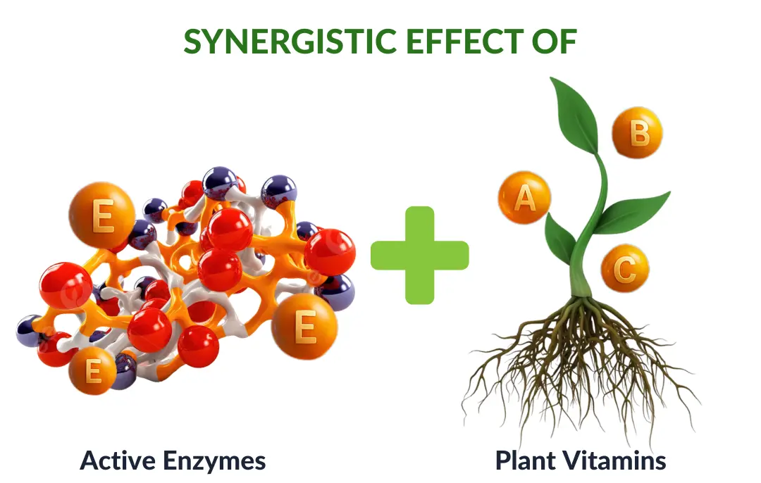 2 in 1 Vita-Enzyme Solution - Image 14