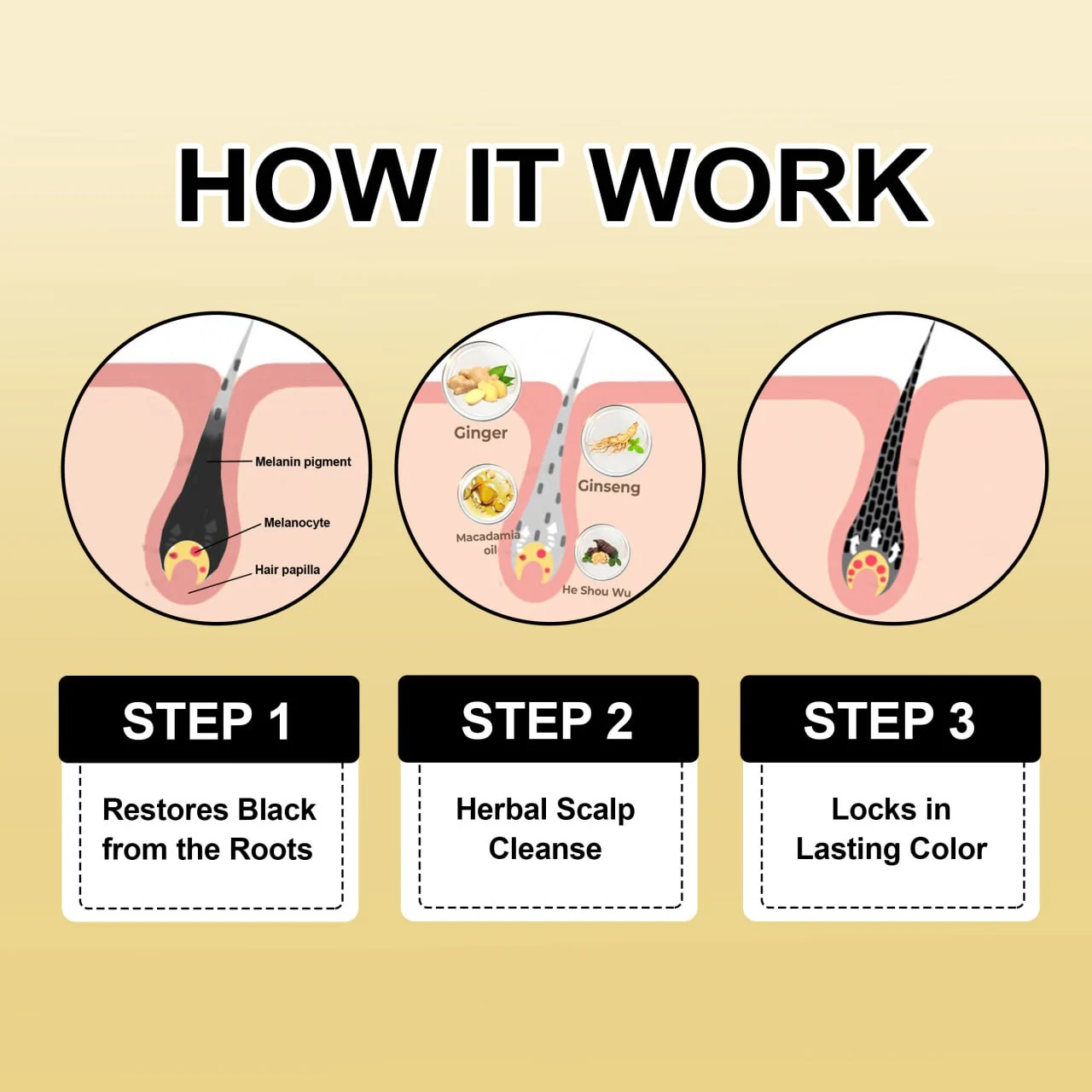 3-in-1 Black Hair Dye Shampoo - Image 8