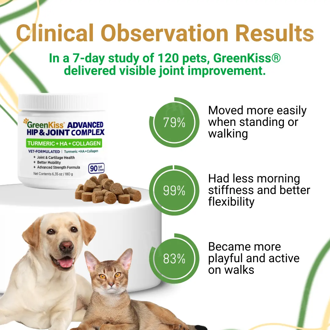Advanced Hip & Joint Complex Soft Chews | Turmeric + HA + Collagen - Image 5