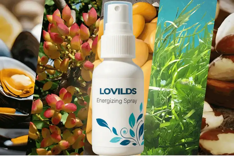 Seaweed Erection Spray - Image 2