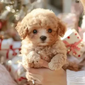 My Realistic Robot Puppy - Image 3