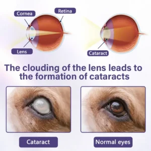 Pet Eye Drops - Image 9
