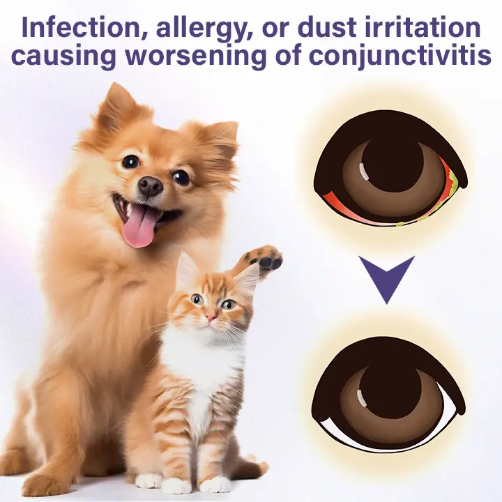 Pet Eye Drops - Image 11