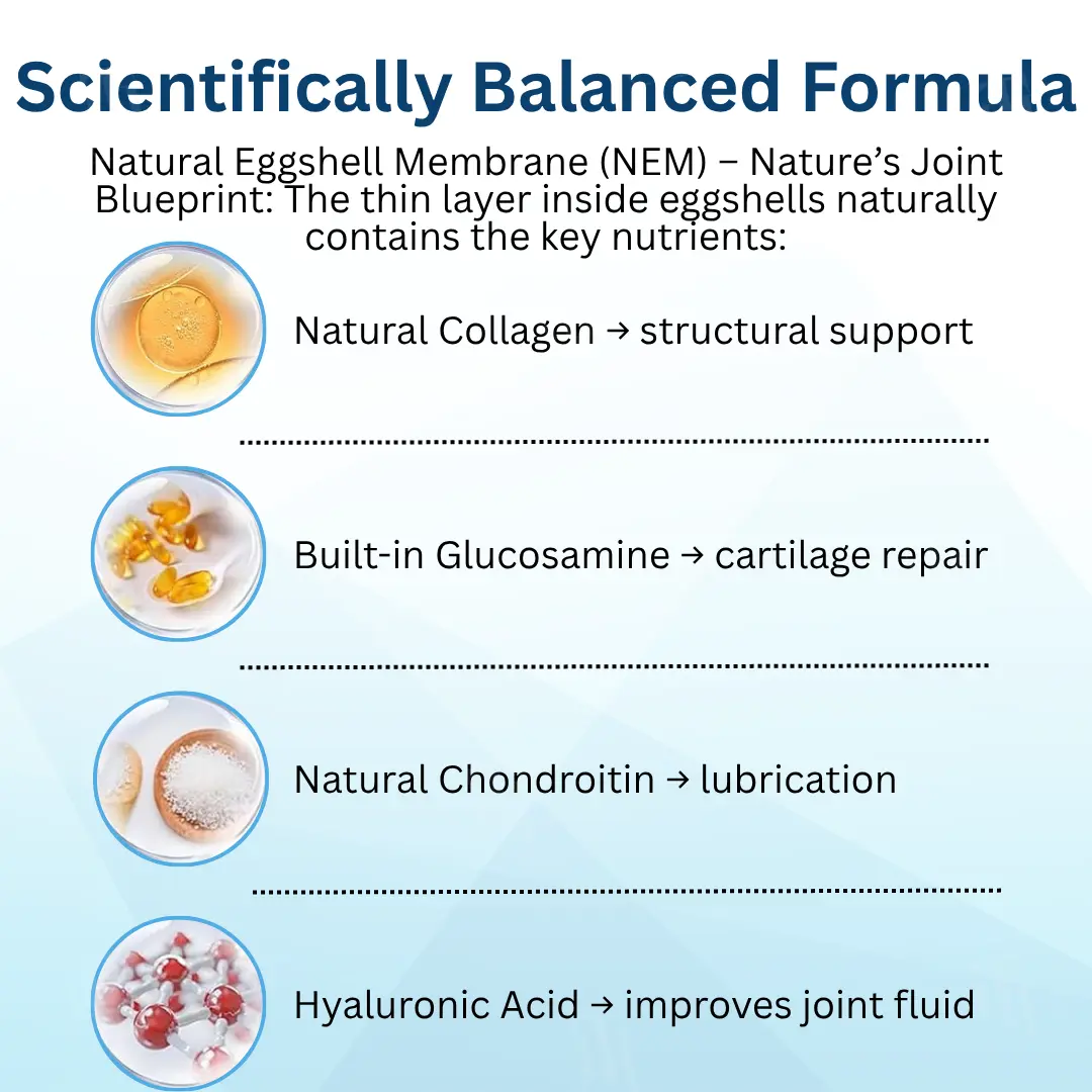Pet Joint Health Revival Formula - Image 5