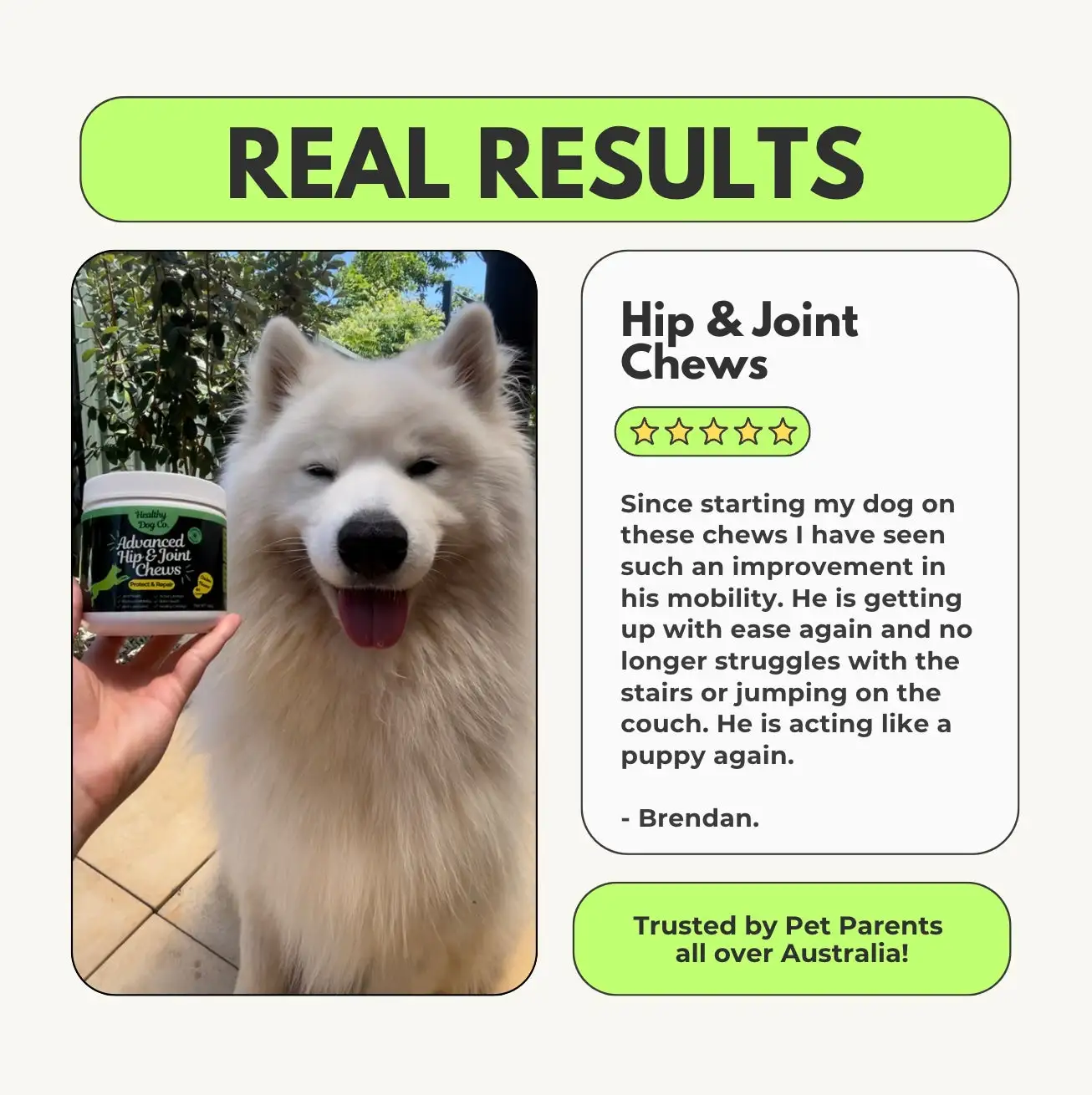 Advanced Hip & Joint Chew - Image 4