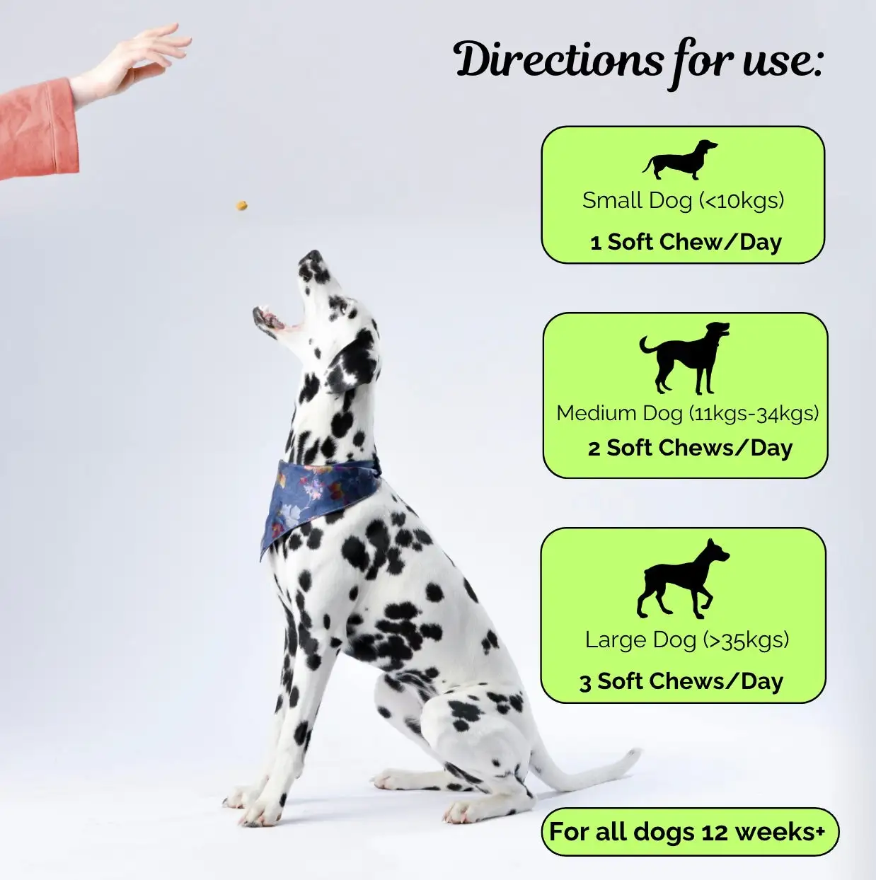 Advanced Hip & Joint Chew - Image 3