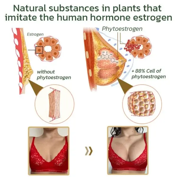 AnnieCare Pueraria Mirifica Papaya Breast Enhancement Capsules - Image 6