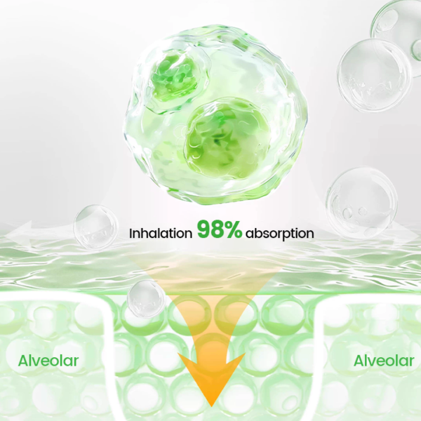 SpireFresh Quercetin Lung Detox Inhaler - Image 9