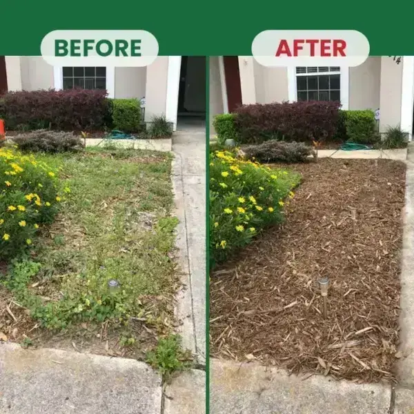 Kill Bamboo, Stumps & Invasive Weeds for Good – Root Killer Powder - Image 5