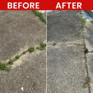 Weed Killer Spray - Image 9
