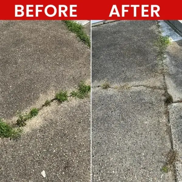 Weed Killer Spray - Image 9