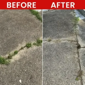 Weed Killer Spray - Image 9