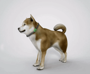 12‑Month Natural Flea & Tick Protection Pendant - Image 4