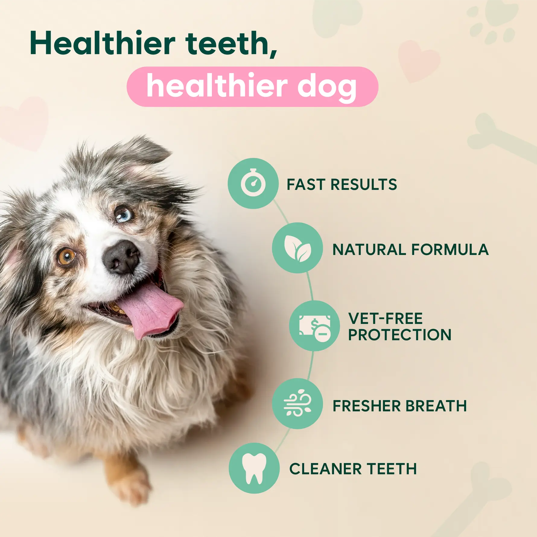 Probiotic Enzymatic Dental Spray - Image 4