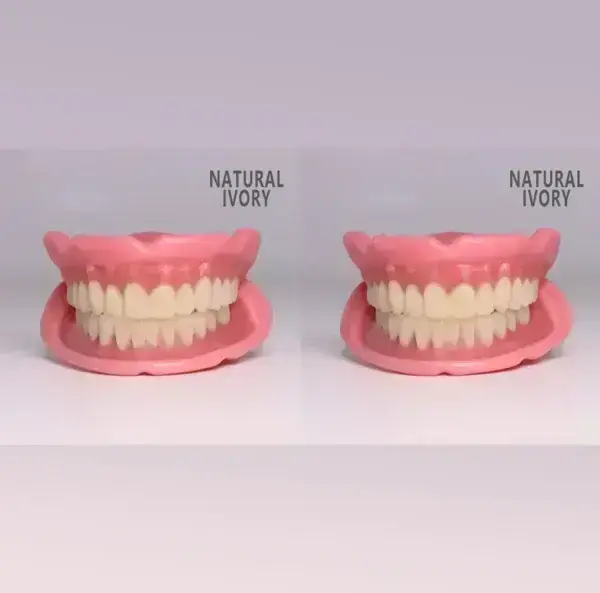 😁 “Snap In. Stay Put. Smile All Day — Or Your Money Back!” 𝗙𝘂𝗻𝗰𝘁𝗶𝗼𝗻𝗮𝗹 𝗧𝗵𝗶𝗰𝗸𝗲𝗻𝗲𝗱 𝗗𝗲𝗻𝘁𝘂𝗿𝗲𝘀 - Image 25