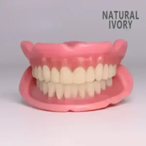 😁 “Snap In. Stay Put. Smile All Day — Or Your Money Back!” 𝗙𝘂𝗻𝗰𝘁𝗶𝗼𝗻𝗮𝗹 𝗧𝗵𝗶𝗰𝗸𝗲𝗻𝗲𝗱 𝗗𝗲𝗻𝘁𝘂𝗿𝗲𝘀 - Image 3