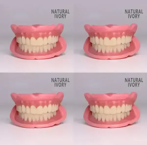 😁 “Snap In. Stay Put. Smile All Day — Or Your Money Back!” 𝗙𝘂𝗻𝗰𝘁𝗶𝗼𝗻𝗮𝗹 𝗧𝗵𝗶𝗰𝗸𝗲𝗻𝗲𝗱 𝗗𝗲𝗻𝘁𝘂𝗿𝗲𝘀 - Image 33