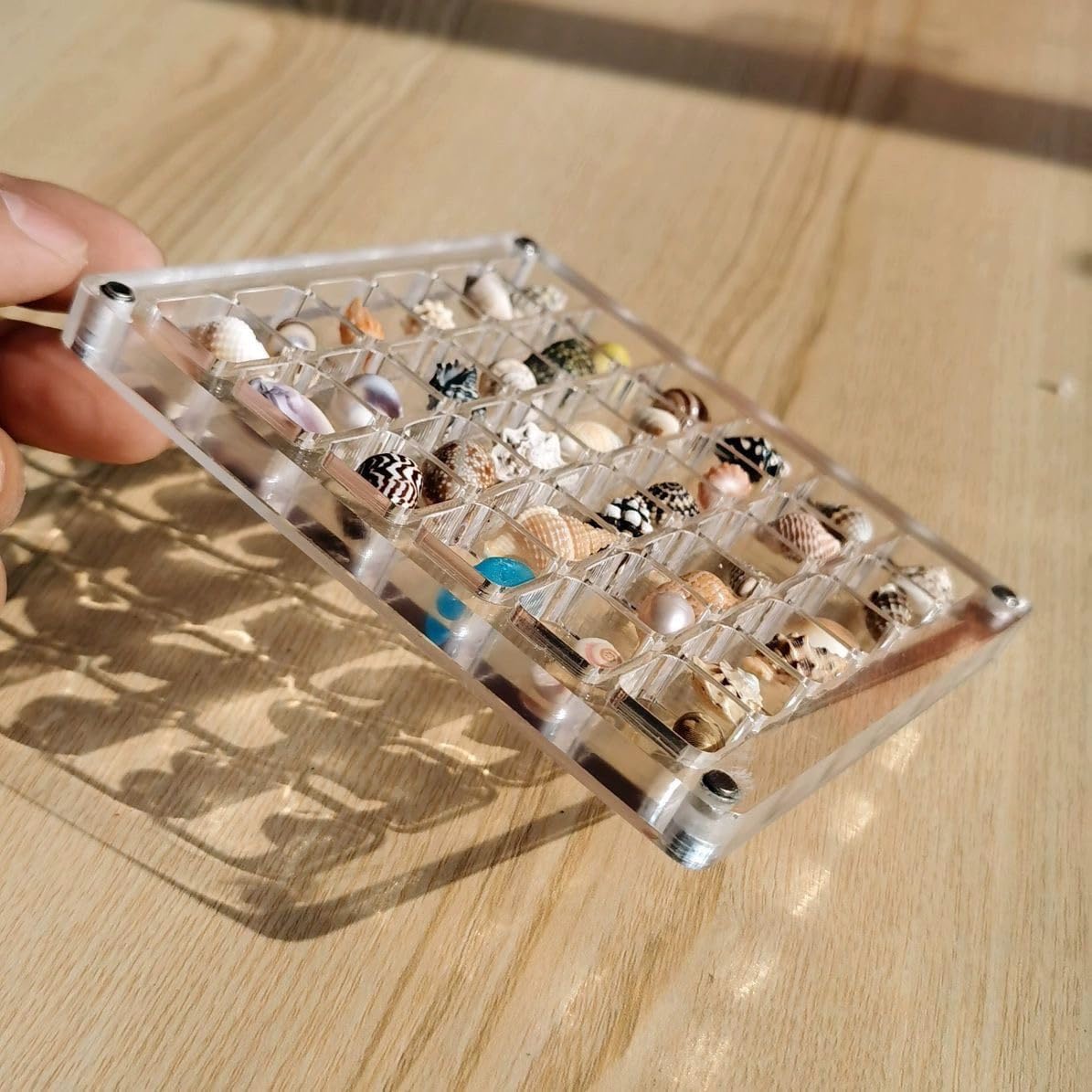 Acrylic Magnetic Seashell Display Box - Image 7