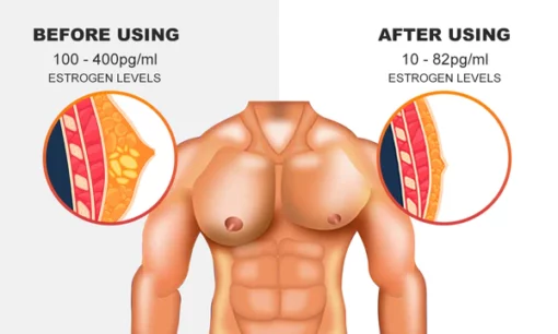 Gynecomastia Cream – Chest Fat Burner - Image 6