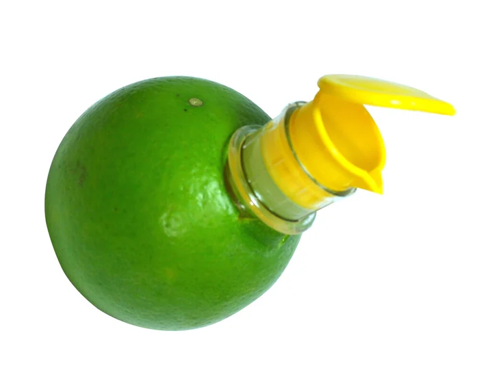 Lemon Mini Squeezer - Image 8